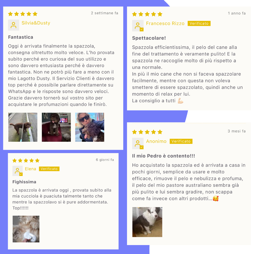 Spazzola Autopulente con Nebulizzatore oMyDog®