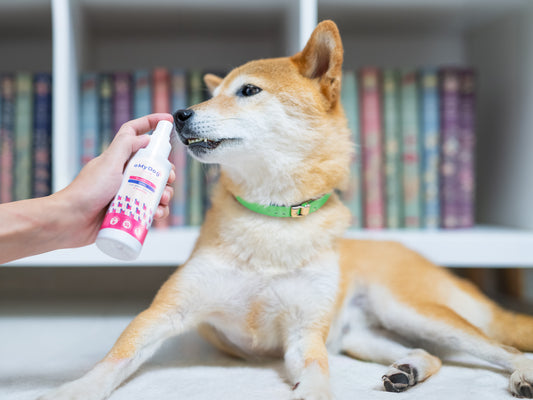 Dentifricio Spray con Arginina (100 ml)