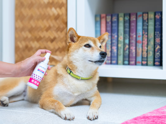 Profumo Floreale oMyDog (100 ml)