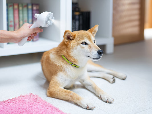 Profumo per Cani "Note di Natale" alla Vaniglia