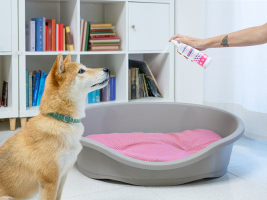 Igienizzante per cucce oMyDog (250ml)